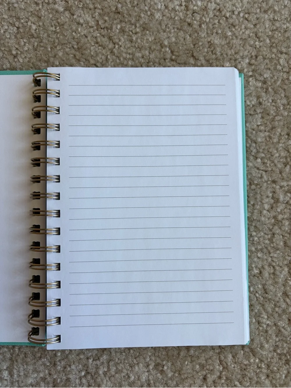 Spiral Lined Journal Notebook in Turquoise